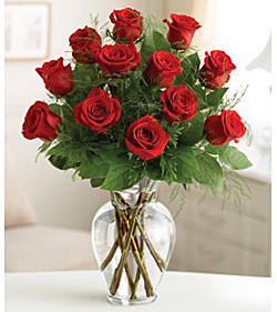 Premium Dozen Roses - Red #BN1120RD