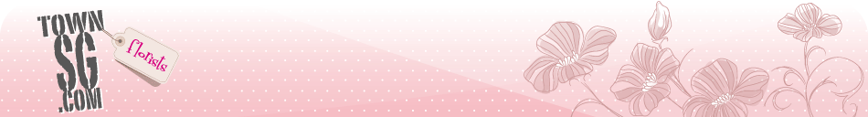 Powered by Zen Cart :: The Art of E-Commerce